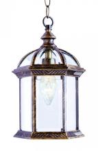 Trans Globe 4183 WH - 1LT HANGING LANTERN WH